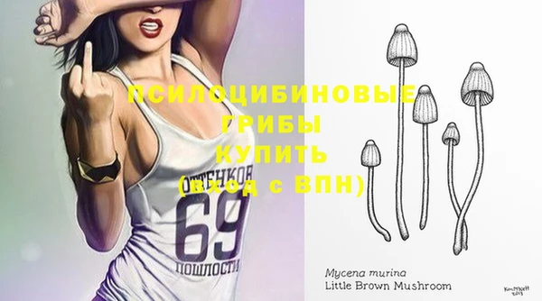 не бодяженный Богородицк