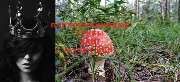 крисы Богданович